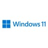 Windows 11 Professionnel - DVD - 1 Licence
